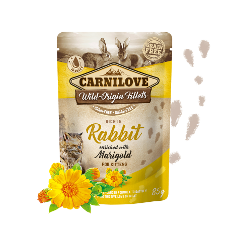 CARNILOVE CAT POUCH CONEJO 24X85GR