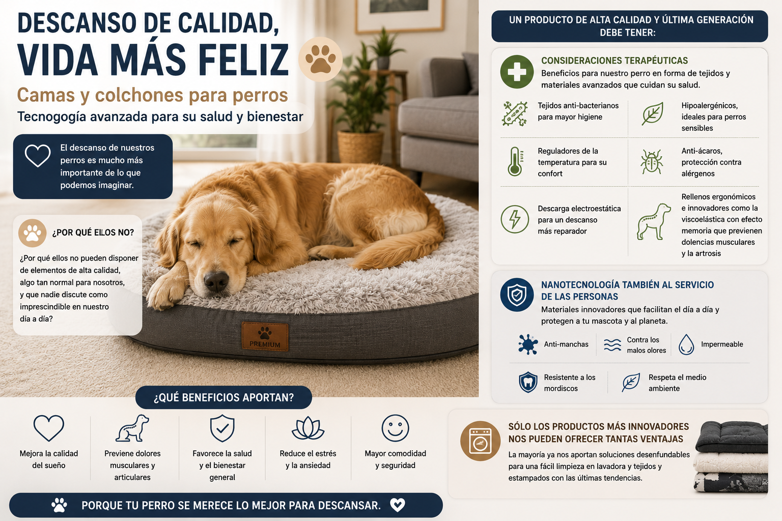 Camas para perros: descanso, confort y salud para tu mascota